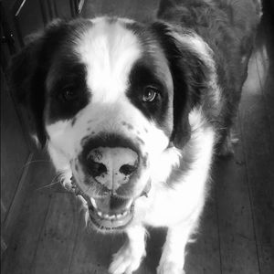 Meet your Posher, Cassandra